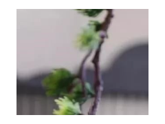 (兒童房設計二人一個房)兒童房如何裝修?兒童房設計有哪些注意事項