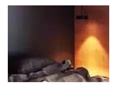 (新房裝修好用什么除甲醛最好)新房裝修榻榻米怎樣設計好？先滿足這幾個條件再說