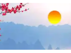 (庭院內適合栽什么樹)住宅庭院內的植物風水 住宅庭院內的植物風水好不好