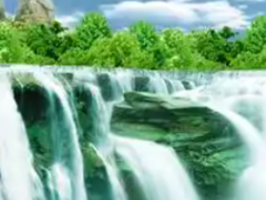 (天堂鳥的寓意和象征風(fēng)水)天堂鳥放客廳好嗎 天堂鳥的寓意和象征風(fēng)水