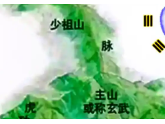 (滴水觀音有毒嗎)滴水觀音植物能放在家里嗎 滴水觀音植物怎么養(yǎng)